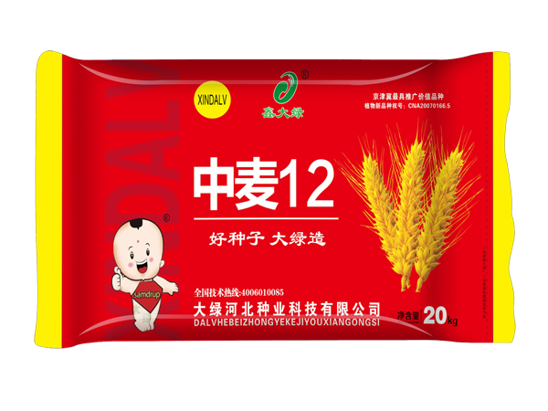 中麥12